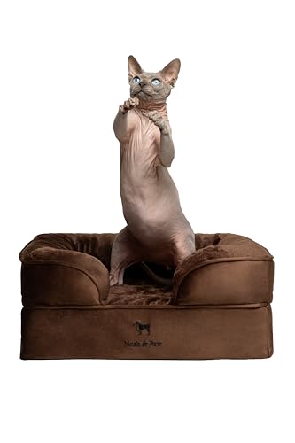 Image of NOAH & PAW Small Dog Bed, 20x15x8 Inch, Cat Bed for Indoor Cats, Orthopedic Eggshell Memory Foam Infused with Cooling Gel, Water Resistant Inner Cover Machine Washable (Velvet Collection)