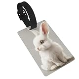 Rich&Rabbit