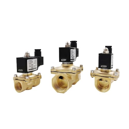 Électrovanne DN20 en laiton massif avec mécanisme de précision NC AC110V