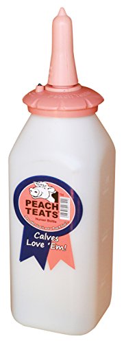 Standard Nursing Bottle Complete, Pink