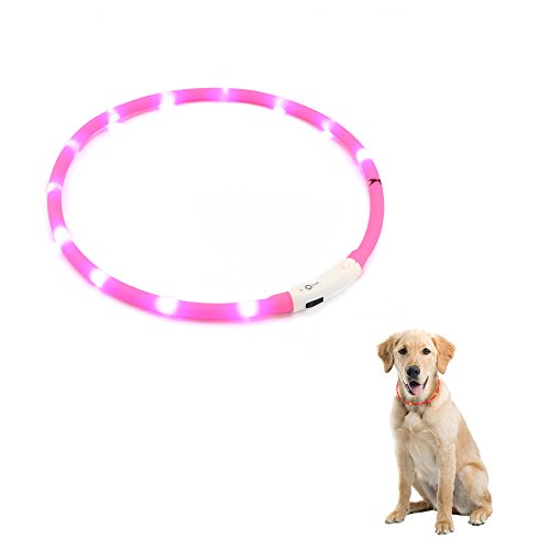 Collar de perro ZOGIN con luces LED, recargable por USB, luz intermitente de seguridad