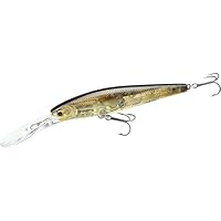 Amazon.co.jp: ラッキークラフト (LUCKY CRAFT) ステイシー80SP Ver.2