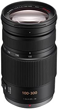 Amazon.co.jp: Panasonic H-FS100300E Lumix G Telezoom Lens (100-300