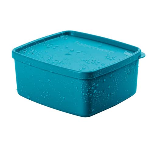 Tupperware Jeitosinho 400ml Linha Freezer Cor:Turmalina