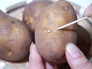 Amazon.co.jp: インカのめざめ 1.5kg(サイズ無選別) お試し用