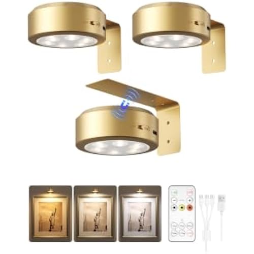 Picture Lights for Wall, Rechargeable Magnetic with Remote (Gold-3P)