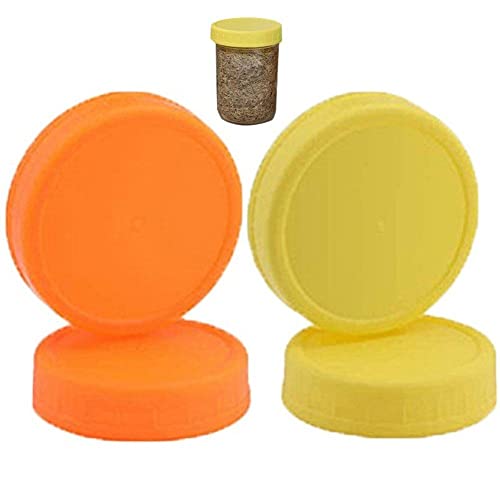 Kopexis C\W[W O XN[W Eh Rh~ V[ O [Lbv Jo[ vX`bN jo[T L}Oʗp 4 70mmiF+IWj