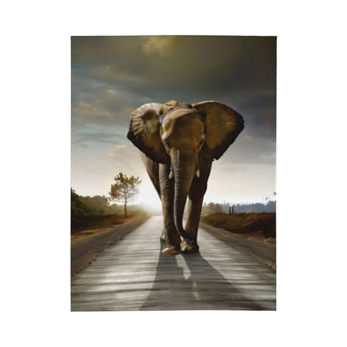 Couverture portable éléphant 3D cadeau original hiver doux
