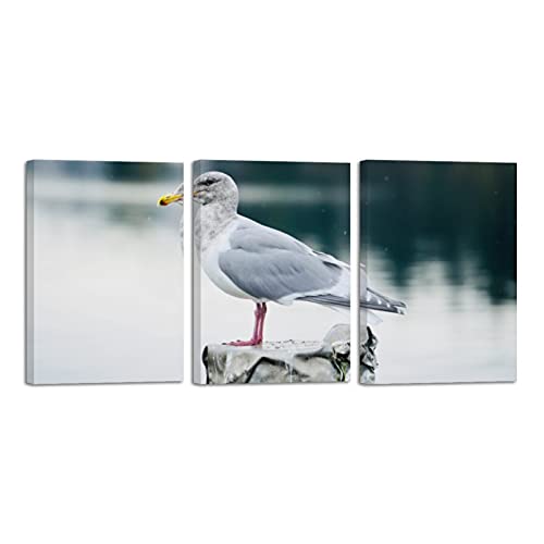 Tableau mouette océan art mural 3 pièces peintures encadrées pour salon