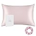 ALASKA BEAR - Natural Silk Pillowcase, Hypoallergenic, 19 momme, 600 thread count 100 percent Mulberry Silk, Queen Size with hidden zipper(1, Pink)