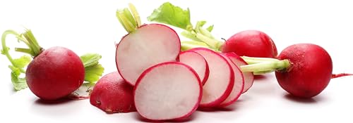 500 Champion Radish Seeds | USA Grown, Non-GMO, Heirloom | Fast-Growing, Sweet & Crisp | Cool-Weather Favorite with Heat Tolerance | Harvest in 25 Days | by RDR Seeds