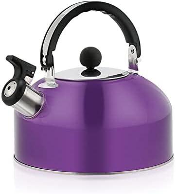 2L Camping Whistling Kettle Teapot, Stainless Steel Kitchen Stovetop Kettle for Gas Stove Induction Hob Coffee Pot for Indoor Outdoor Camping Hiking Picnic (Blue)
