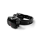 DT SYSTEMS Micro iDT Additional Collar for DT Systems Micro iDT Plus Dog Training System, 6-22