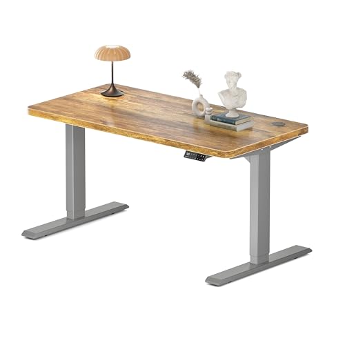 MAIDeSITe Höhenverstellbarer Schreibtisch 120x60cm - Elektrisch Schreibpult Höhenverstellbar 3-stufige mit 2 Energieeffizient‌ Motoren -Stabil & Flüsterleiser Arbeitsplätze Traglast 160kg -S