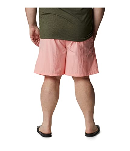 Image of Columbia Nylon Relaxed Fit Mens Shorts (S22-FM4009-362-P)