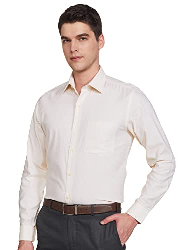 Image of Raymond Men's Formal Shirt