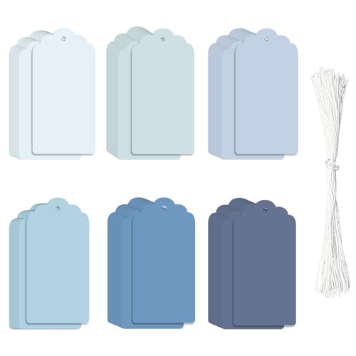 4 3/4C` x 2 3/8C`̑^y[p[Mtg^OARƃuNx^OALb`C\W[̐tx^O60(u[)