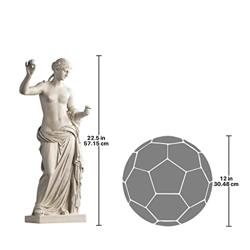 Design Toscano Venus of Arles Greek Woman Indoor/Outdoor Statue Figurine for Home Decor, Antique Style, Perfect for Living Room and Garden, Detailed Carving, Suitable for Indoor and Outdoor Use, 3|5in H
