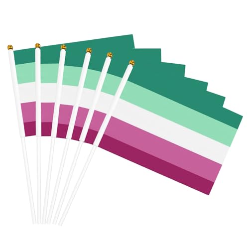 LGBT-Pride-Flagge, asexuelle Paradeflagge, lichtbeständig für den Garten im Freien – lichtbeständige Willkommensflaggen aus Polyester, Handstab