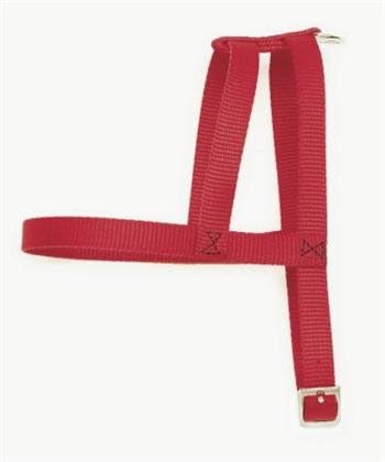 Coastal Pet Nylon Web Dog Harness (Red, 18 Inch Girth x 5/8 Inch W)