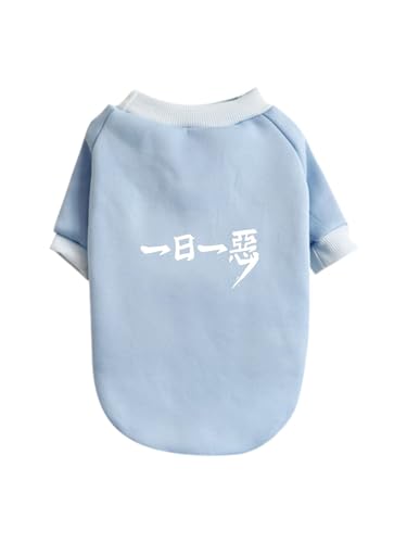 �u���[�A�[�J�C�u ���� �y�b�g�� �h�b�O�E�F�A �p�[�J�[ �L�� �y���{����̔����z ������^�� ���� ������� �g���� �h�� �E�ѕی� �y�b�g�E�F�A ���o������ ���E�₷�� L