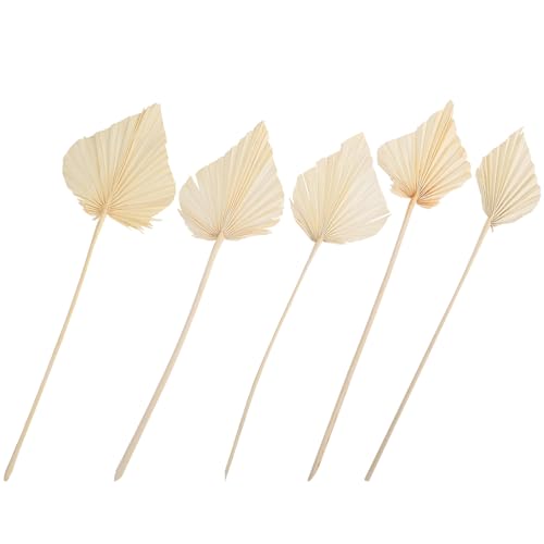 Palm Leaf Decor corazón natural hoja seca 5pzas miniatura 1