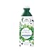L'Angelica Officinalis, Shampoo Seboregolatore, Ortica e Mirto, Per Capelli e...