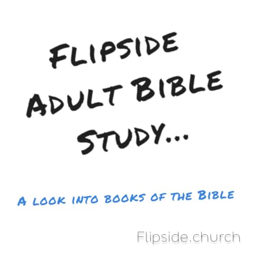 『Flipside Adult Bible Study』のカバーアート