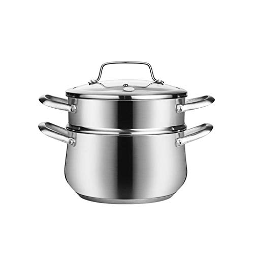 CHFYIJYHM Stainless Steel Juicer Steamer, Fruit Vegetables Steamer for Food with Glass Lid Hose with Clamp Loop Handle(D)