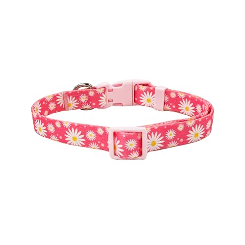 Aretes, Shoes Imagen adicional