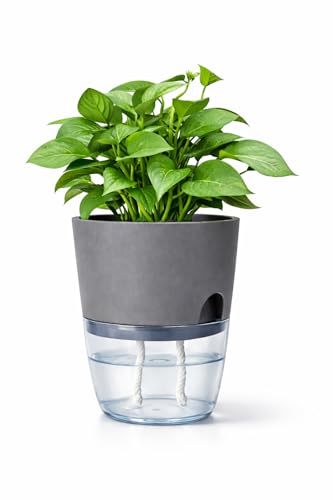 Self Watering Planter with Upgraded Wick System