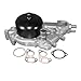 ACDelco 252-846 Professional Water Pump Kit