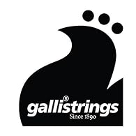 Galli strings are manufactured of special steel and select materials. The outer winding is locked to the core by a special electro-magnetic process assuring brilliance and balanced tone.