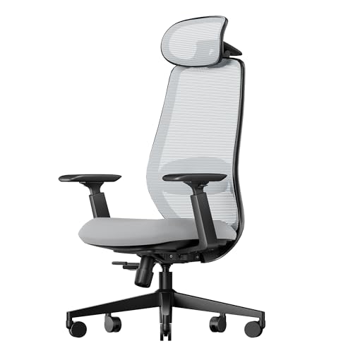 ProtoArc Ergonomic Office Chair – EC200 High-Back Mesh Computer Chair with Lumbar Support, 3D Adjustable Headrest & Sliding Seat for 8+ Hour Comfort, Big & Tall Home Office Desk Chairs - Gray