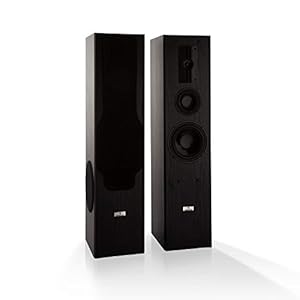 auna Line E 1005 torenluidspreker – 3-weg HiFi-luidspreker, 700 W max. , 2 x 180 W RMS, subwoofer, middenbereik, tweeter, basreflexbehuizing, afneembare frontplaat, houtlook, zwart