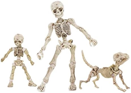 Eonthry 3pcs Cute Fashion Design Mr. Bones Mini Pose Skeleton Model Decorations with Dog Mini Action Figure Collectible Shooting Props