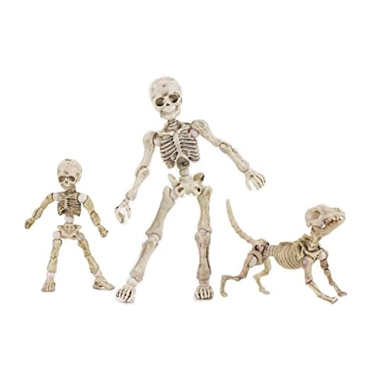 Eonthry 3pcs Cute Fashion Design Mr. Bones Mini Pose Skeleton Model Decorations with Dog Mini Action Figure Collectible Shooting Props