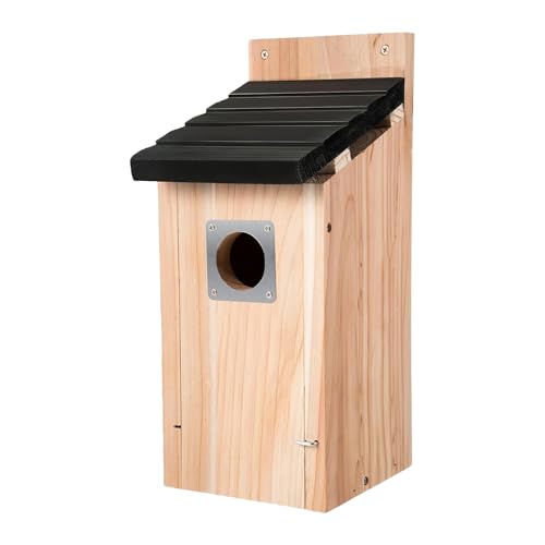 Nid d'oiseau suspendre cabane colibri nichoir bois étanche extérieur - 2