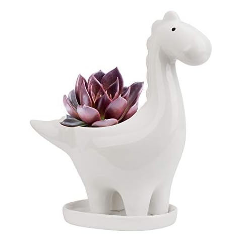 Ulikey Pot de Céramique Dinosaure Cover