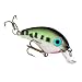 Strike King Bitsy Minnow Bait (Baby Bass, 0.125-Ounce)