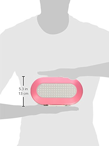 Master Lock 5900DPNK Portable Personal Safe, Pink by Master Lock