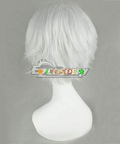 Amazon.co.jp: ✿KYUUCOS✿ Dr.STONE 氷月 コスプレウィッグ : ホビー