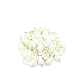 Hoement ギター ベース アンプ用プラスチックノブ24個セット コントロールアンプノブ 同心シャフト径6mm対応 交換用アクセサリー