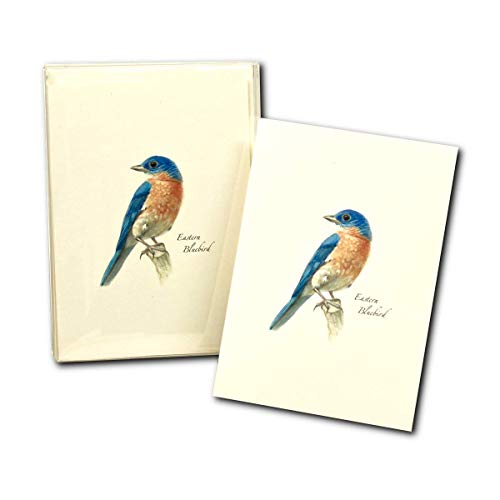 Image of Earth Sky + Water - Bluebird Notecard Set II - 8 Blank Cards with Envelopes