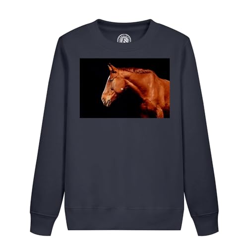 Sweatshirt enfant cheval pur-sang vêtement équitation marron étalon