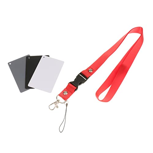 Tarjetas de equilibrio digitales para fotografía de exteriores y sesiones en estudio 4