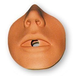 Mouthpiece for Adam and Brad Manikins (10 Pack)