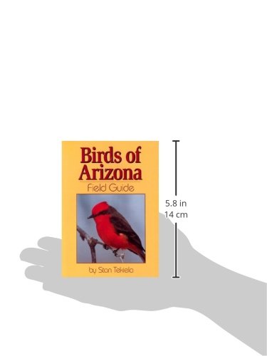 Birds of Arizona Field Guide (Bird Identification Guides) - Image 3
