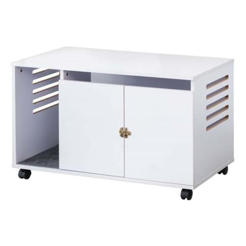 LgCJo[ Xg[ LX^[t  LUh~ [{bNX ωJhA ʋCXbg gݗĎ 81cm (zCg)