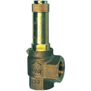 RIEGLER 117645-222.08-2.0 - Válvula de seguridad esquinera, vapor saturado, G 2, presión de respuesta 2 bar, 1 unidad